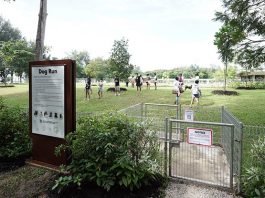 East Coast Park Dog Run, Largest In The East, Opens At Parkland Green And With A Bird Perch Beside It