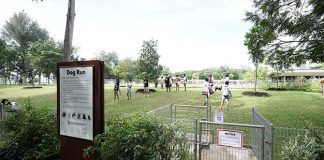 East Coast Park Dog Run, Largest In The East, Opens At Parkland Green And With A Bird Perch Beside It