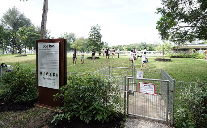 East Coast Park Dog Run, Largest In The East, Opens At Parkland Green And With A Bird Perch Beside It