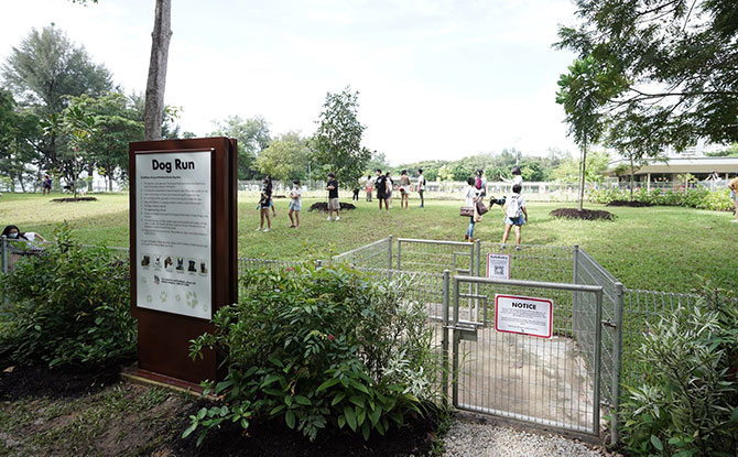 e1-east-coast-dog-run East Coast Park Dog Run, Largest In The East, Opens At Parkland Green And With A Bird Perch Beside It