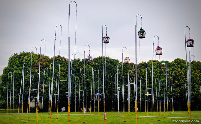 Bird cages
