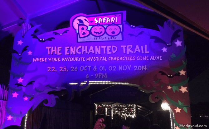 Enchanted Trail
