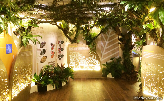 Green Gallery