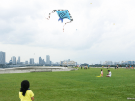 e10-Kite-Flying-Marina-Barrage