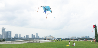 e10-Kite-Flying-Marina-Barrage