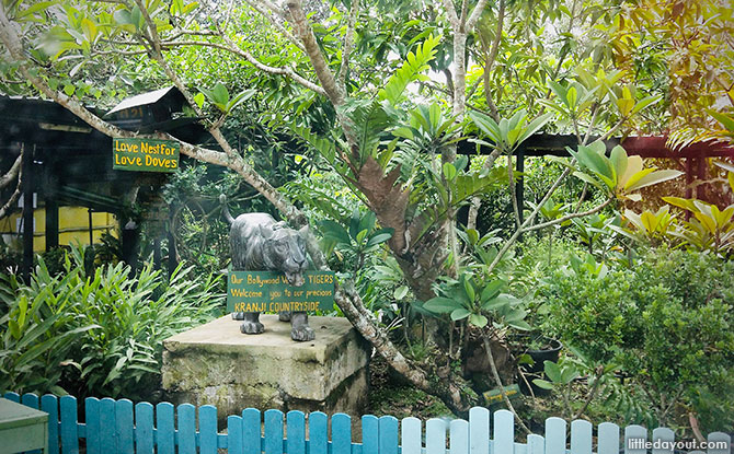 Kranji Countryside: Bollywood Veggies