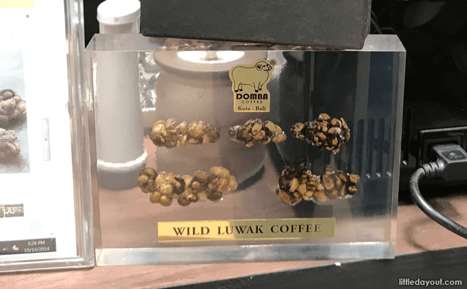 Luwak Coffee