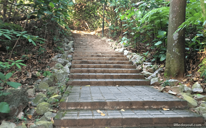 Bukit Batok Nature Park track
