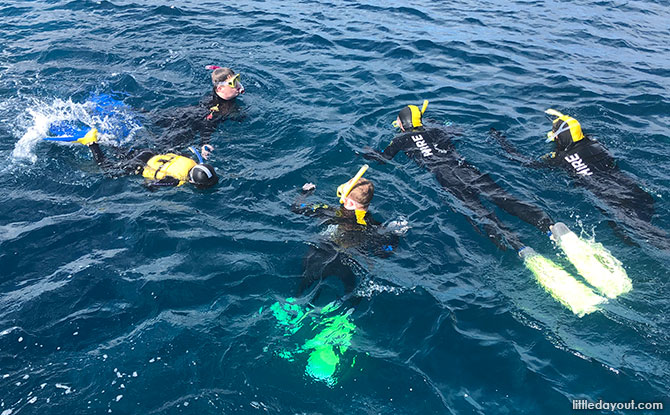 Spend time it the water at Great Barrier Reef, Australia