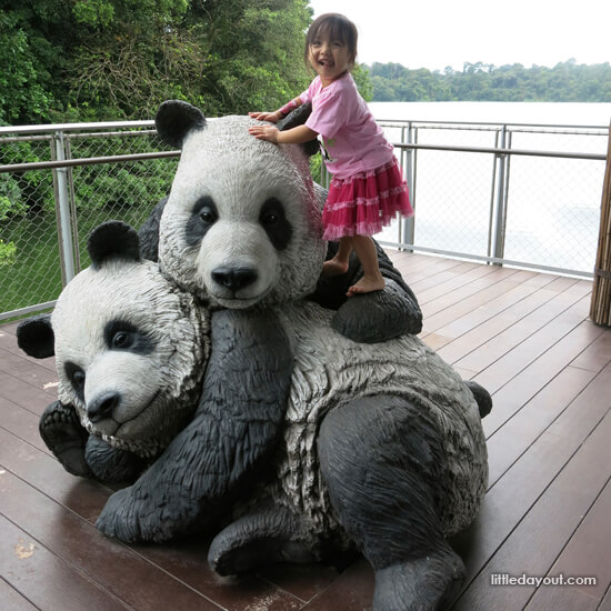 panda tour singapore