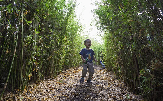 Learning Through Play at Themed Zones at Coastal PlayGrove’s Nature Playgarden