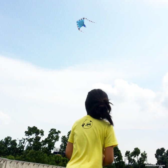 Kite Marina Barrage