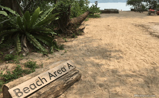 Beach Area A, Coney Island Park.