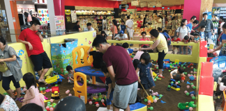 Happy Castle Cassia Seeds Playground