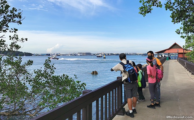 Journey To The East: Little Day Out’s Family Eco-Adventure @ Changi