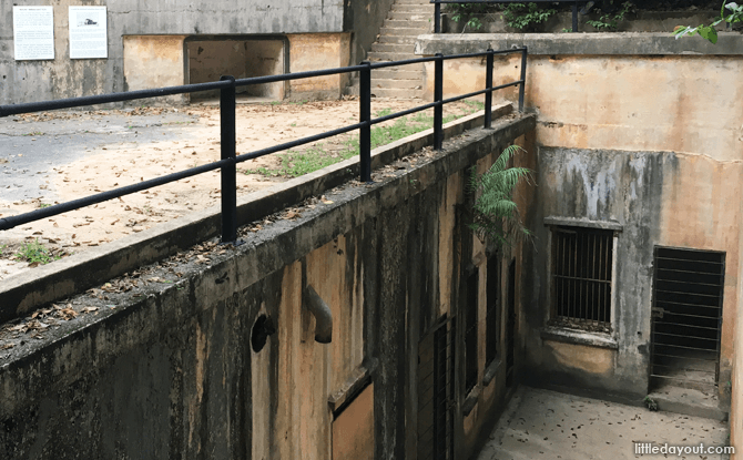 Swallow Nesting Area