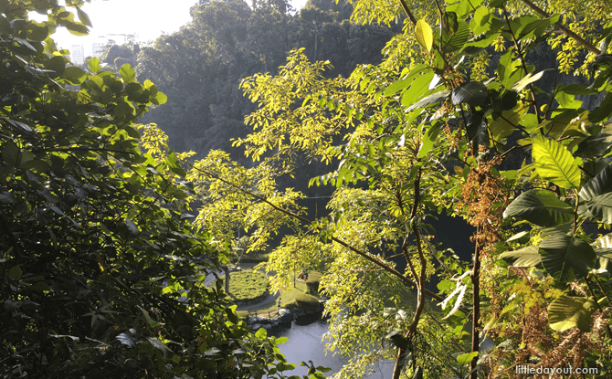 Bukit Batok Nature Park view