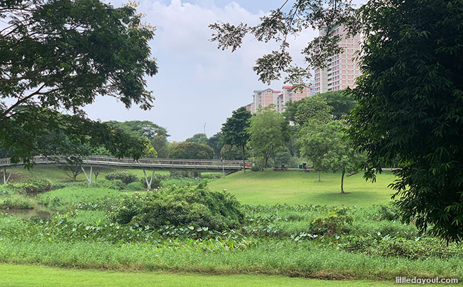 Bishan Ang Mo Kio Park, Family Friendly Park