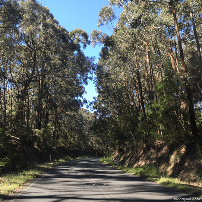 Yarra Valley day trip