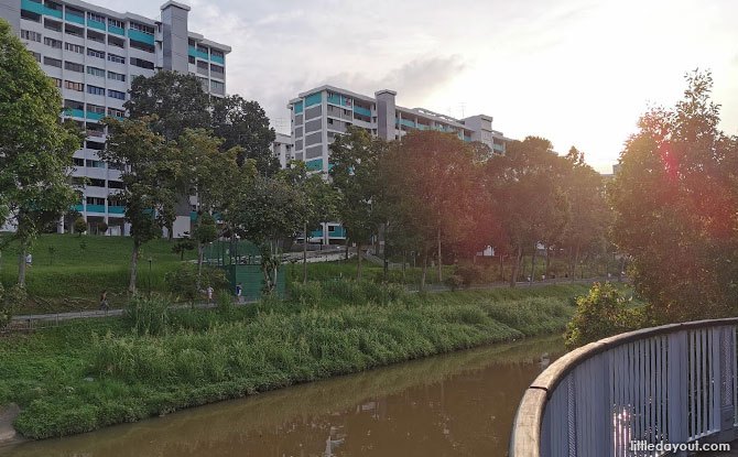 Flora and Fauna at Ulu Pandan