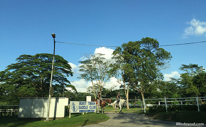 Bukit Timah Saddle Club