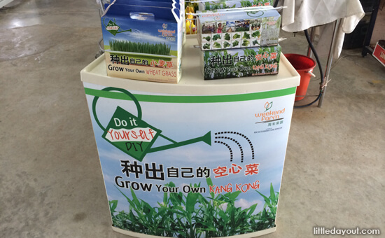 Grow Your Own