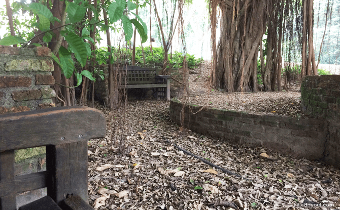 Shaded Seating Area, Hidden Spots within Singapore Botanic Gardens