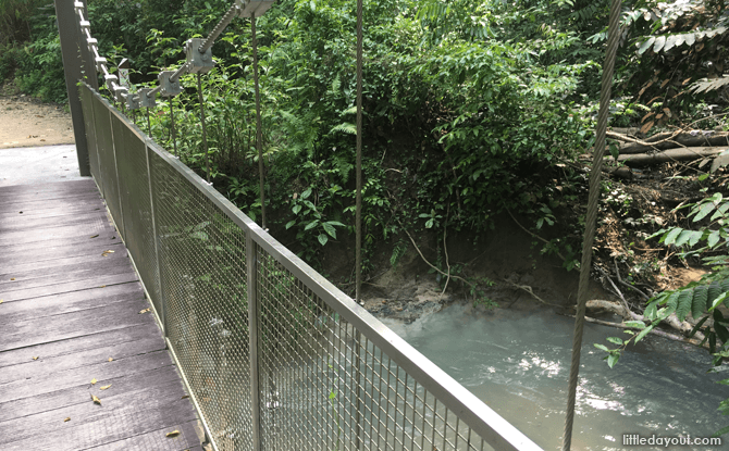 Nature Trail, Chestnut Nature Park