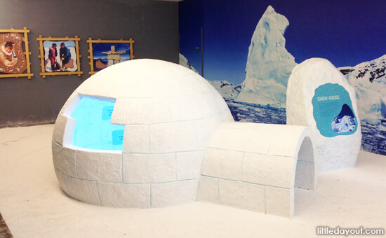 Conservation Igloo