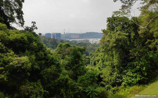 Ascending Mount Faber