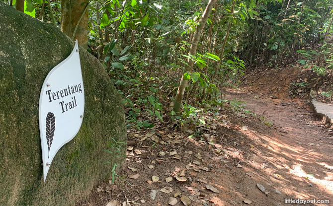 Terentang Trail