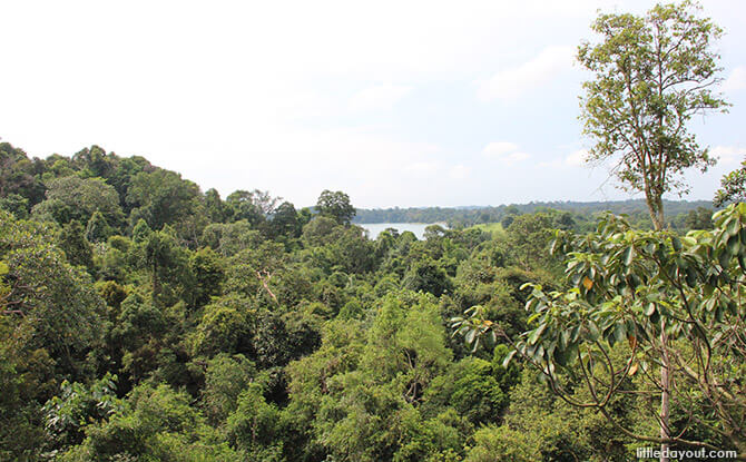 Upper Peirce Reservoir