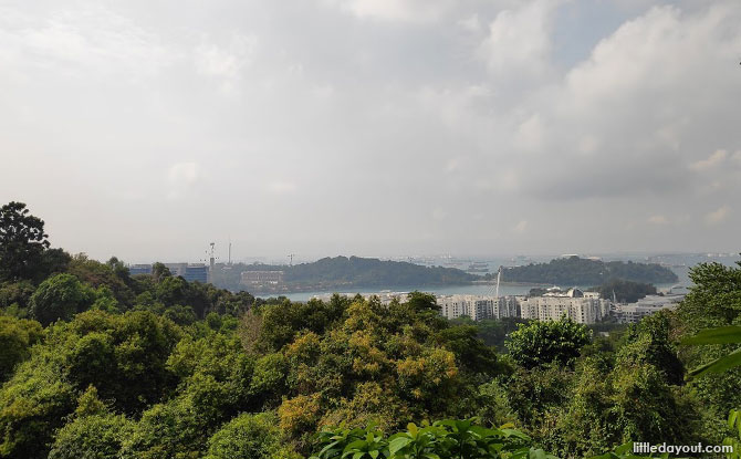 Views from Mount Faber