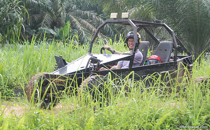 Driving the buggy.