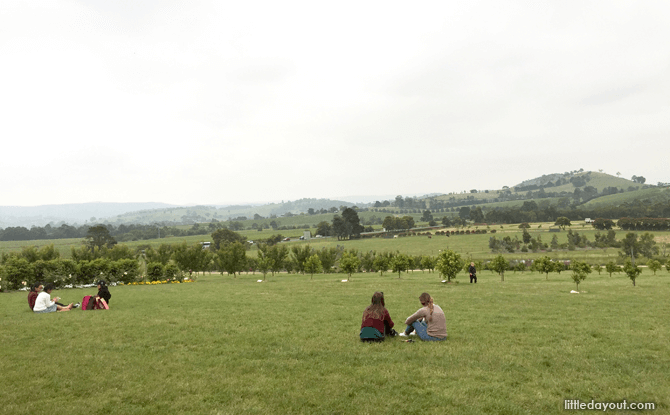 Melbourne Yarra Valley Chocolaterie and Ice Creamery