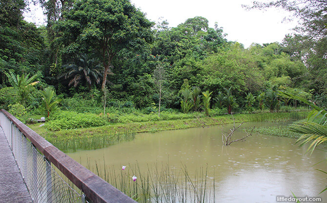 Bridges at Windsor Nature Park