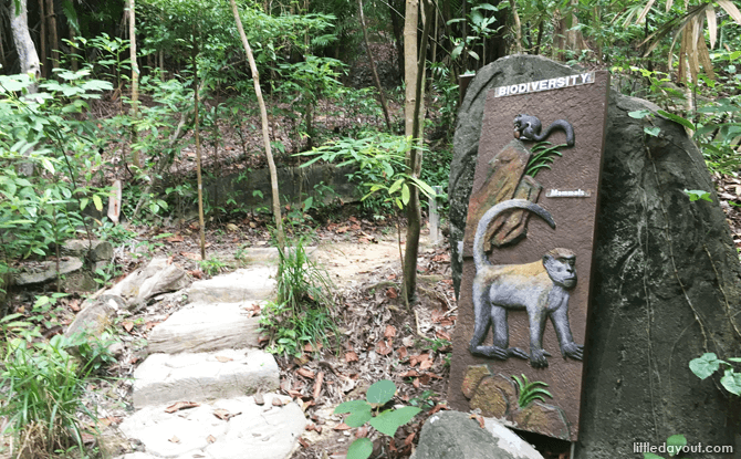 Mount Imbiah Trail and Nature Walk, Sentosa - Little Day Out