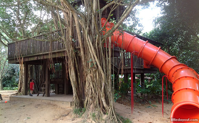 Jacob Ballas Treehouse