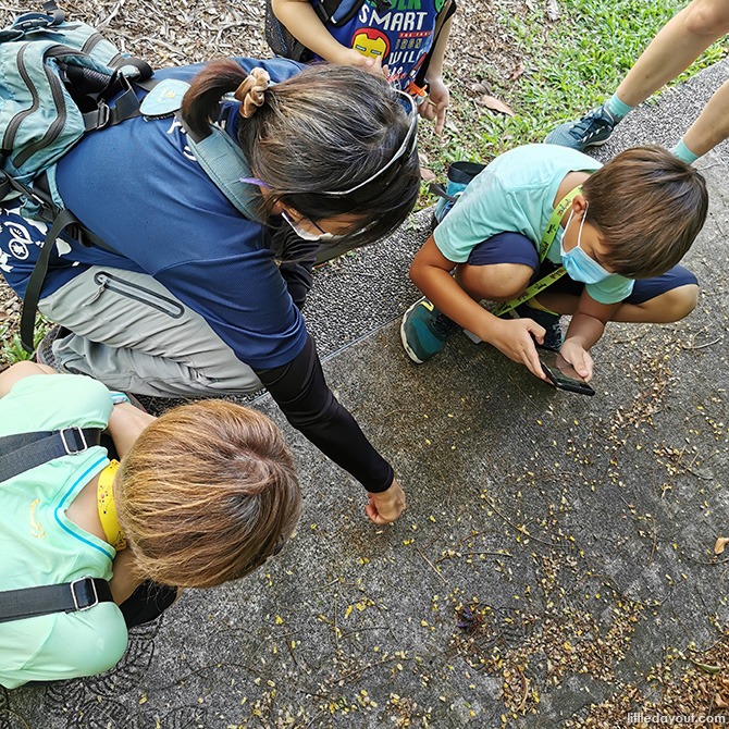 Journey To The East: Little Day Out’s Family Eco-Adventure @ Changi
