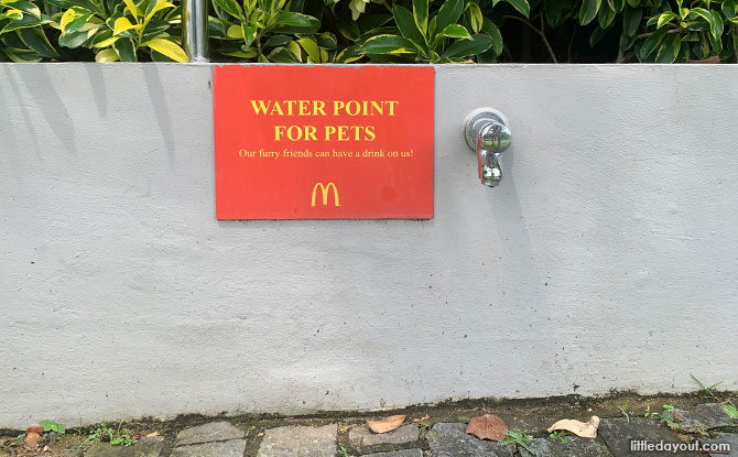 Water point for dogs at Bishan Ang Mo Kio McDonald's