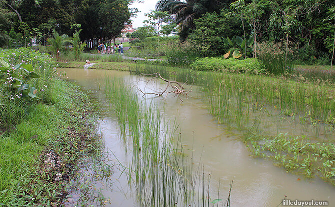 Buffer Nature Parks