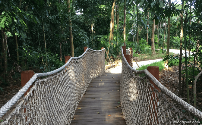 Mid Canopy Walk