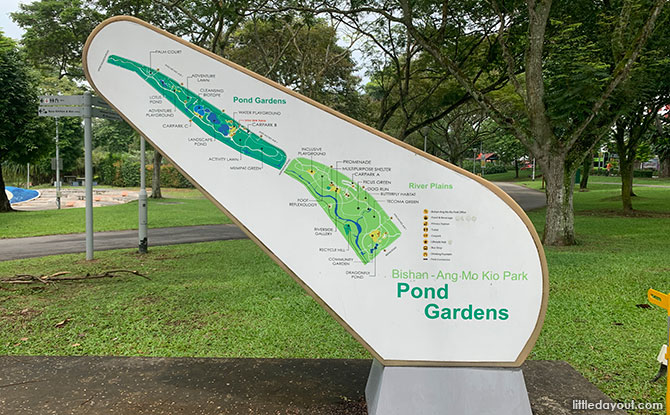 Pond Gardens at Bishan - Ang Mo Kio Park