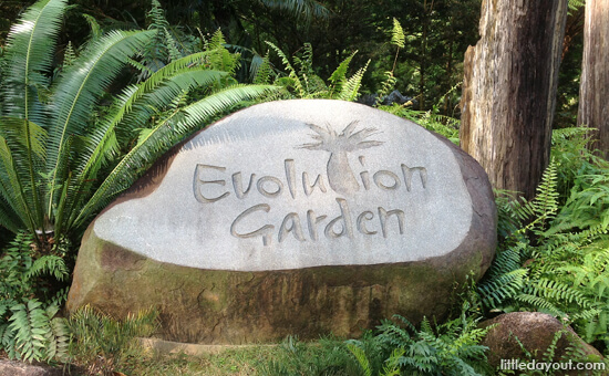 Evolution Garden