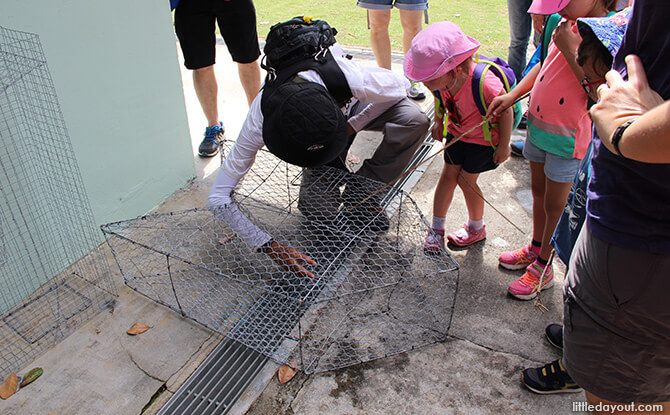 Pulau Ubin Chinese Kampong House: Fish Trap