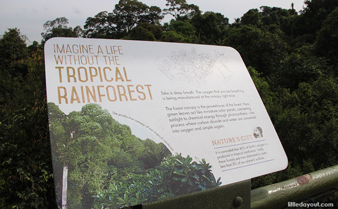 Signs along TreeTop Walk