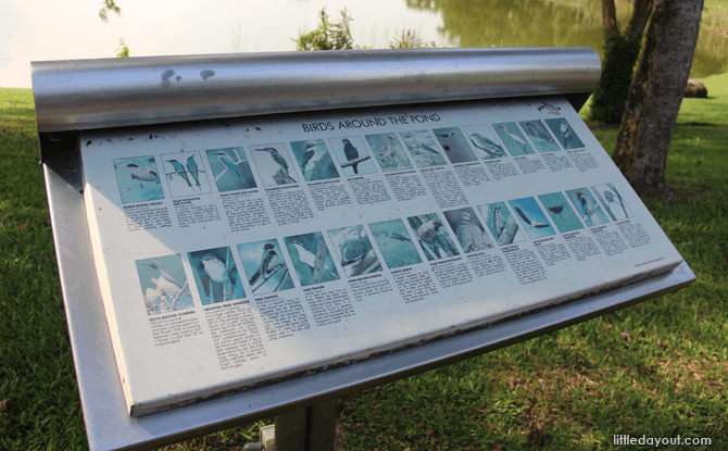 Birds signboard