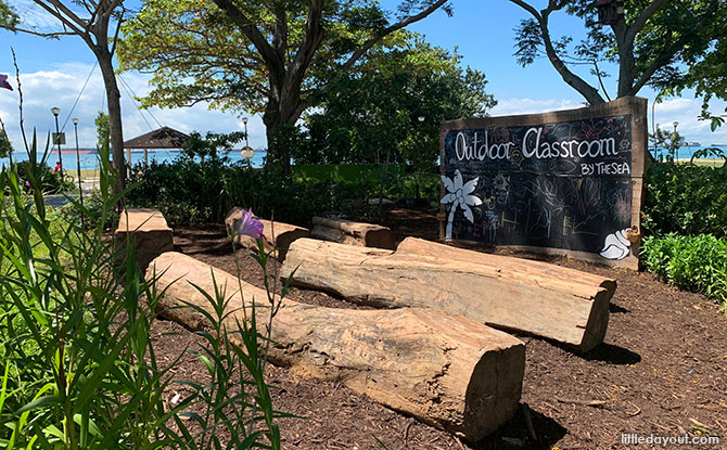 Learning in Nature at the Outdoor Classroom By The Sea