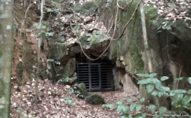 Caves at Bukit Timah Hill