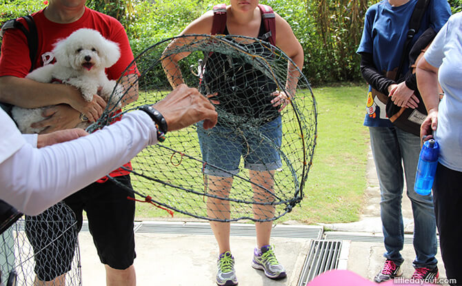 Pulau Ubin Chinese Kampong House: Crab Trap